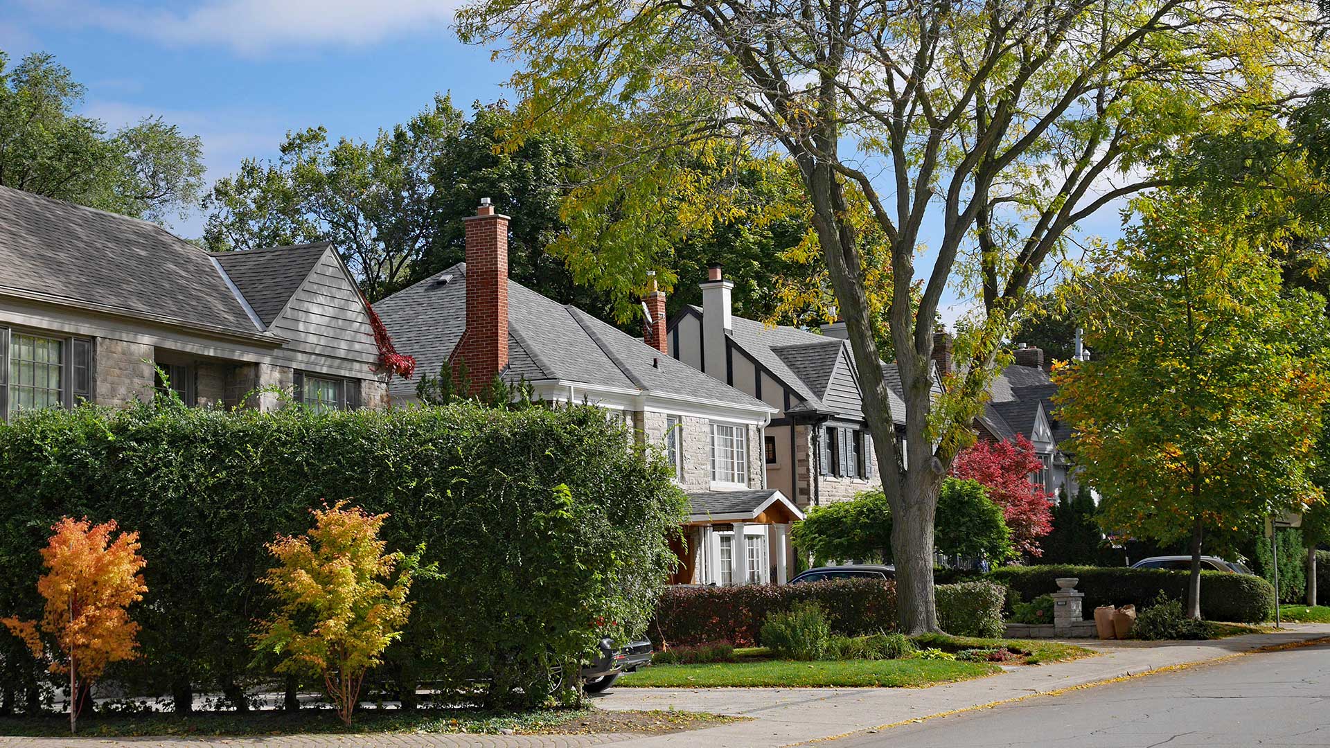 A row of suburban houses with many shrubs and trees.